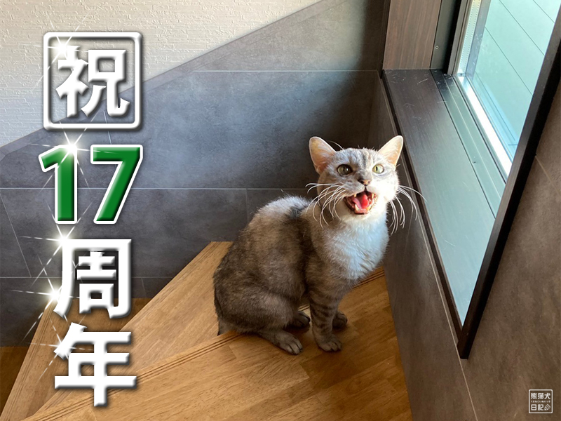 天然猫の寿喜