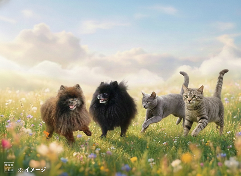 天国の動物たち