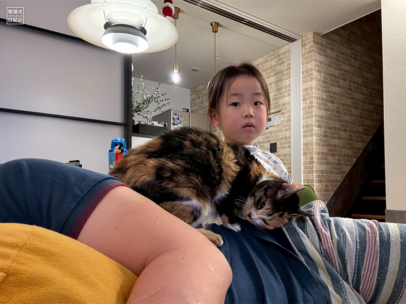 ツンデレ三毛猫の稚葉と小倅