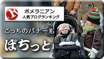 人気ブログランキング