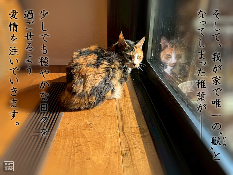 熊猫犬日記ご挨拶