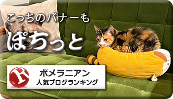 人気ブログランキング