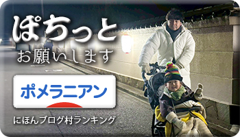 にほんブログ村