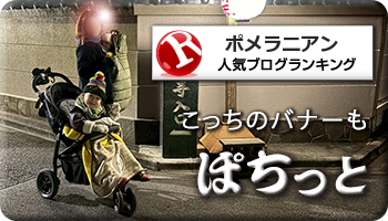 人気ブログランキング