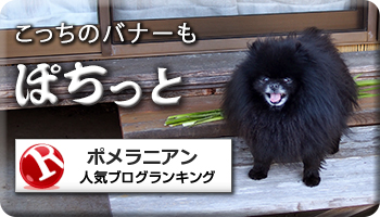 人気ブログランキング