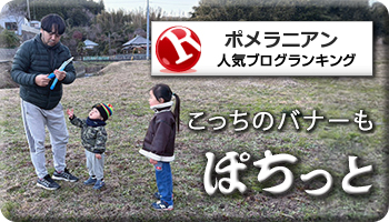 人気ブログランキング