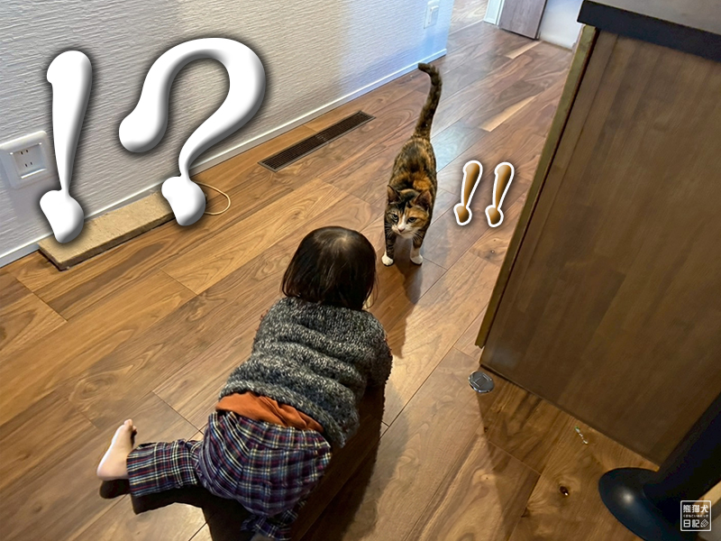 ツンデレ三毛猫の稚葉と小童