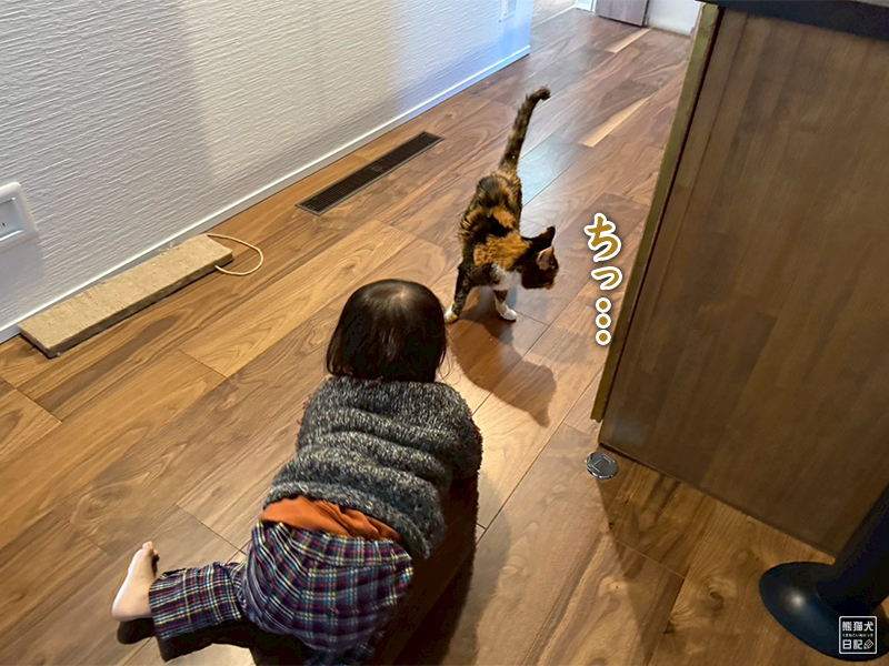 ツンデレ三毛猫の稚葉と小童