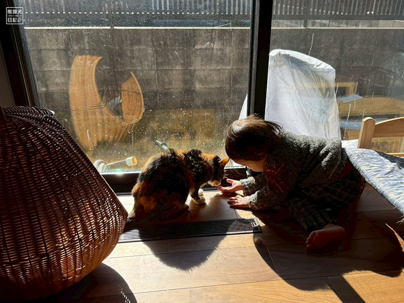 ツンデレ三毛猫の稚葉と小童