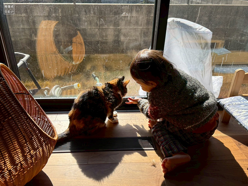 ツンデレ三毛猫の稚葉と小童