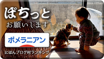 にほんブログ村