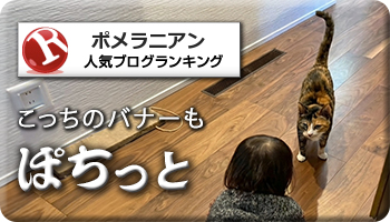 人気ブログランキング