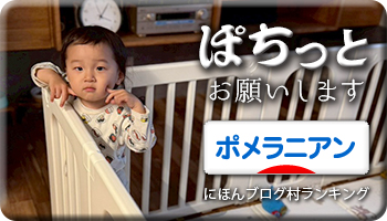 にほんブログ村