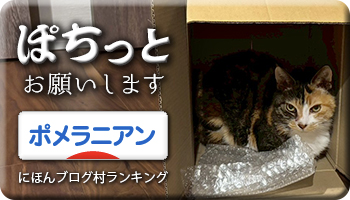 にほんブログ村