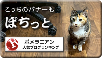 人気ブログランキング