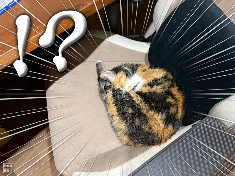 ツンデレ三毛猫の稚葉