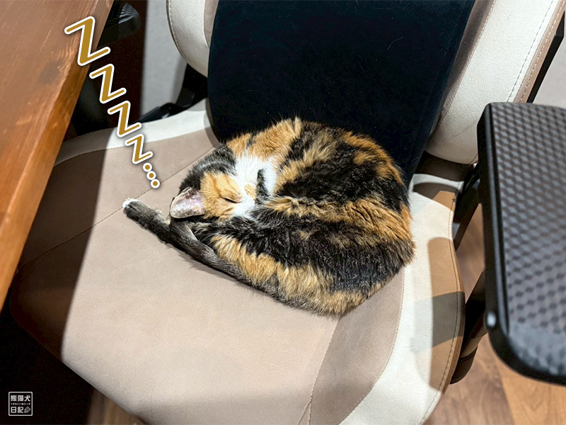 ツンデレ三毛猫の稚葉