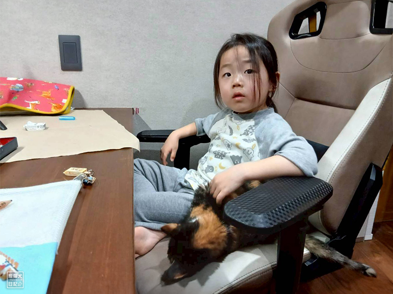 小倅とツンデレ三毛猫の稚葉