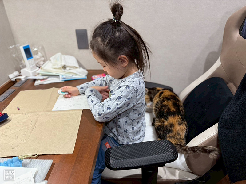 小倅とツンデレ三毛猫の稚葉