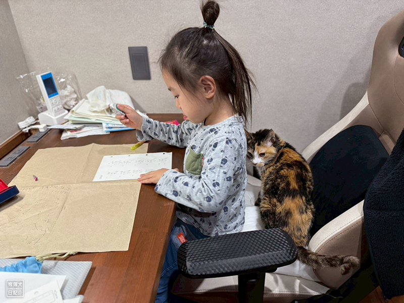 小倅とツンデレ三毛猫の稚葉