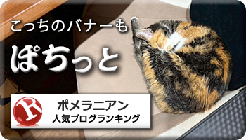 人気ブログランキング