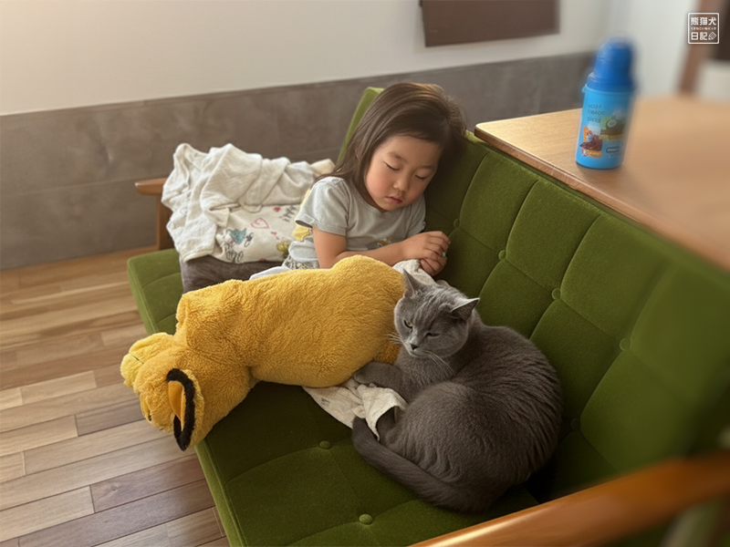 小倅と石像猫にいな