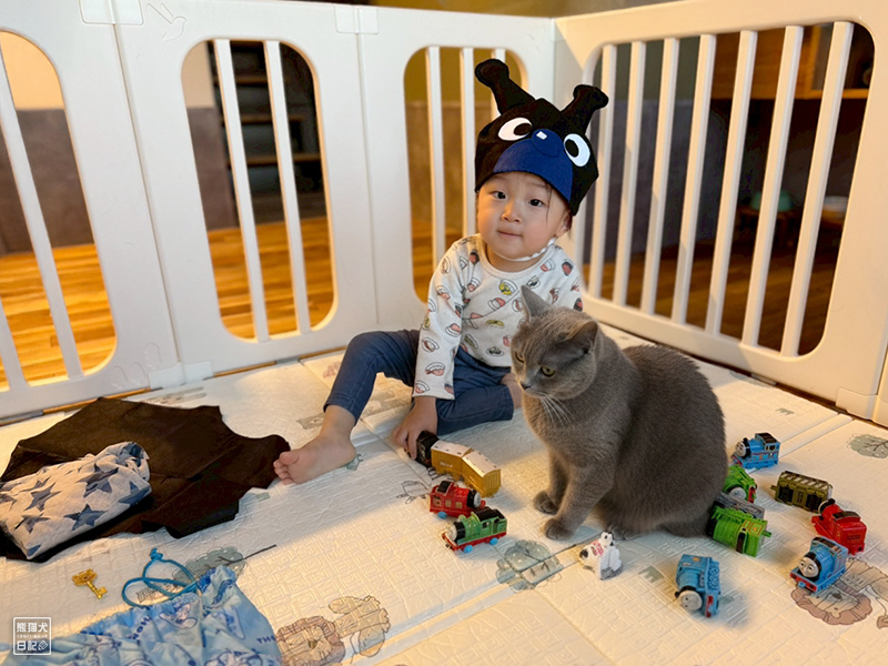 小童と石像猫にいな