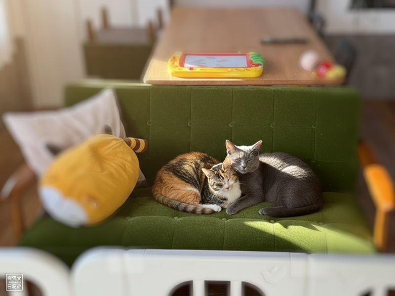 ツンデレ三毛猫の稚葉と石像猫にいな