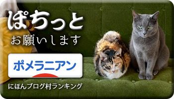 にほんブログ村