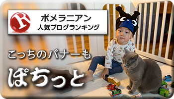 人気ブログランキング