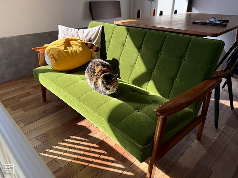 ツンデレ三毛猫の稚葉