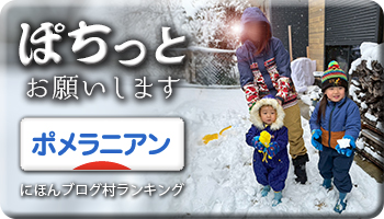 にほんブログ村