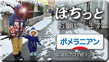 にほんブログ村