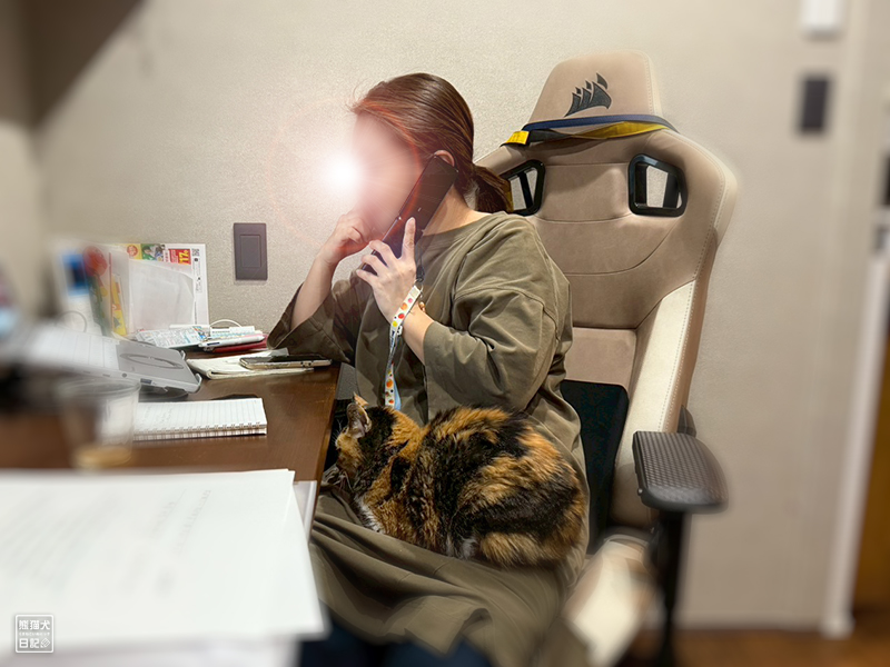 嫁女房とツンデレ三毛猫の稚葉