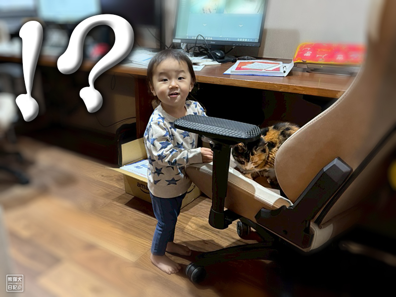 小童とツンデレ三毛猫の稚葉