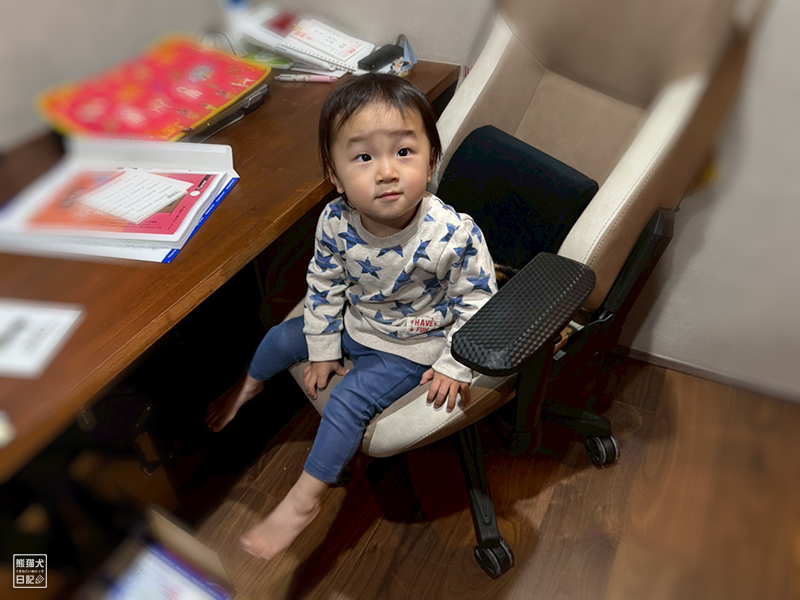 小童とツンデレ三毛猫の稚葉