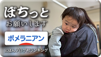 にほんブログ村