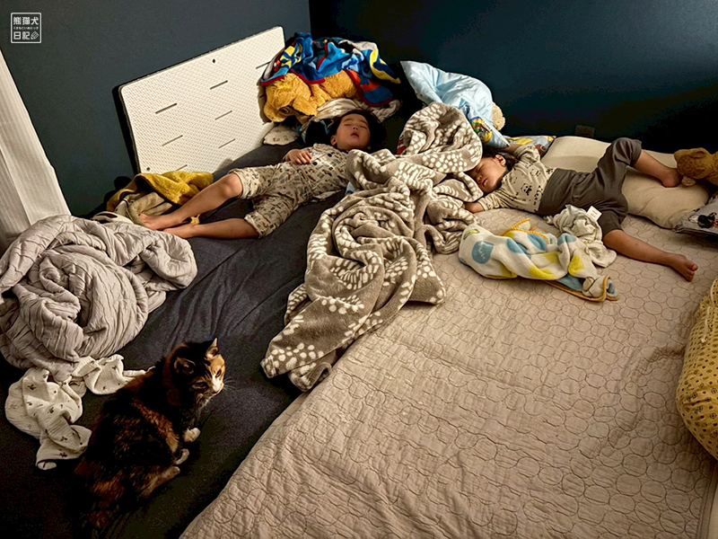 子供たちと見守り猫