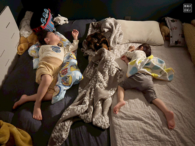 子供たちと見守り猫