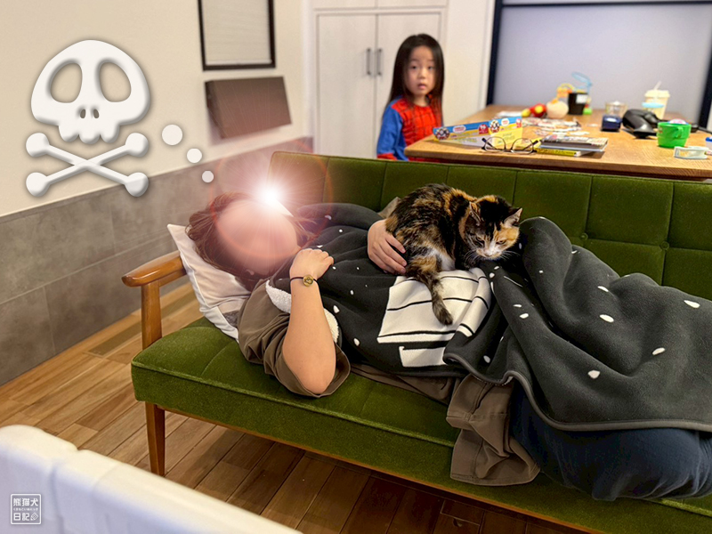 嫁女房とツンデレ三毛猫の稚葉