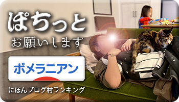 にほんブログ村