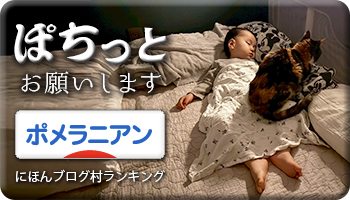 にほんブログ村