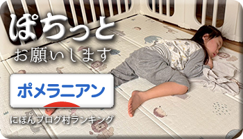 にほんブログ村