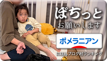 にほんブログ村