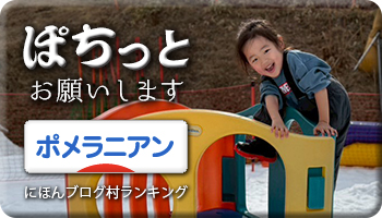 にほんブログ村