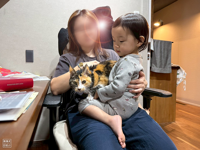 ツンデレ三毛猫の稚葉と小童