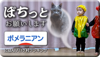 にほんブログ村