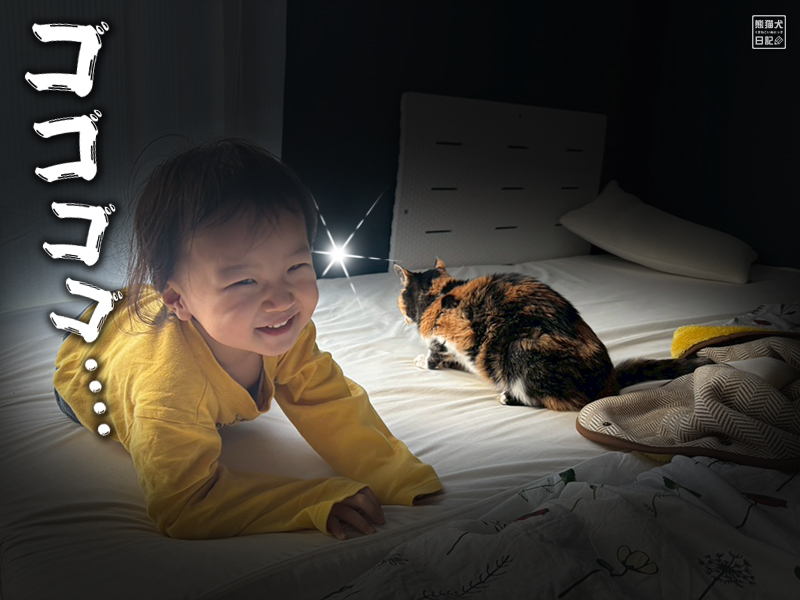 小童とツンデレ三毛猫の稚葉