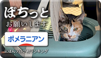 にほんブログ村