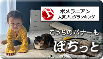 人気ブログランキング